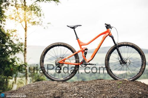 Vitus Escarpe 29 VRX ficha técnica y opiniones